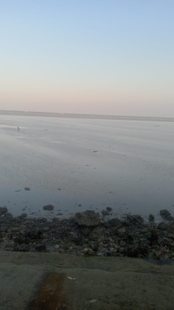 wisata alam aset desa montok