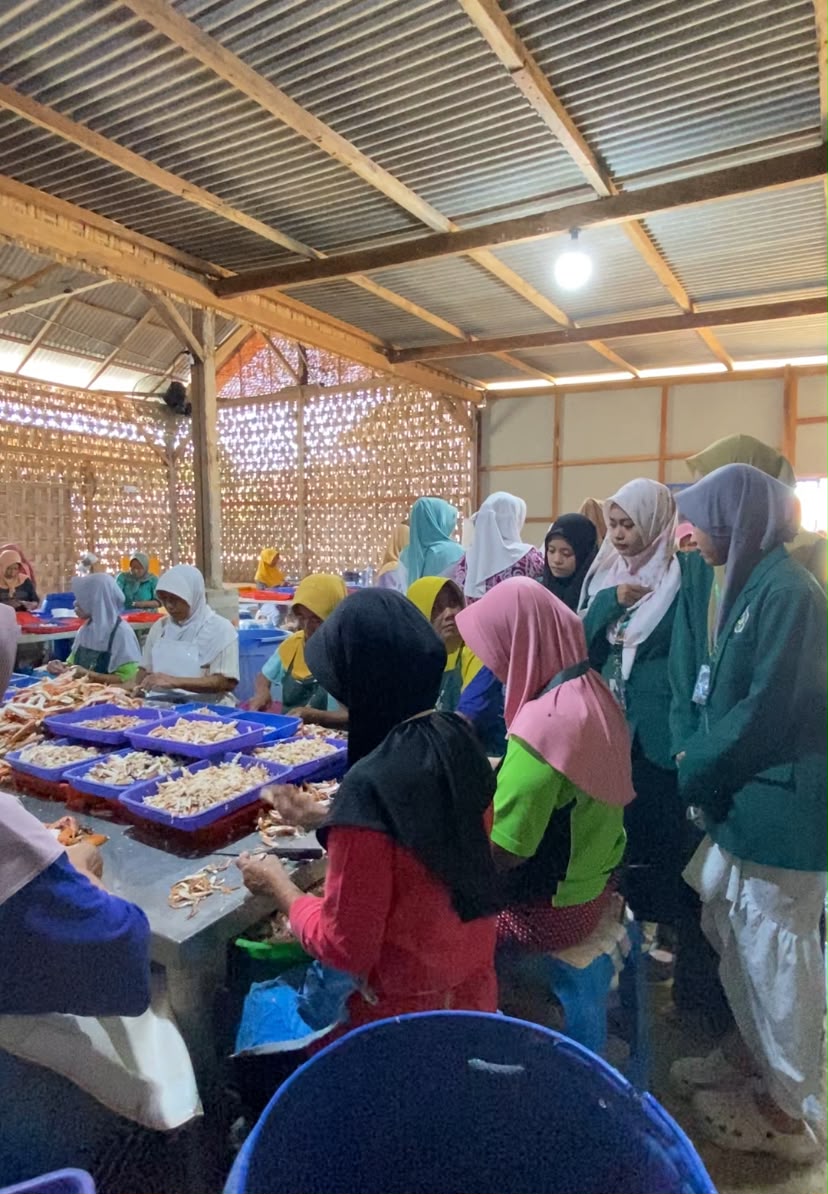Mengunjungi UMKM pengemasan kepiting yang diekspor hingga luar negeri