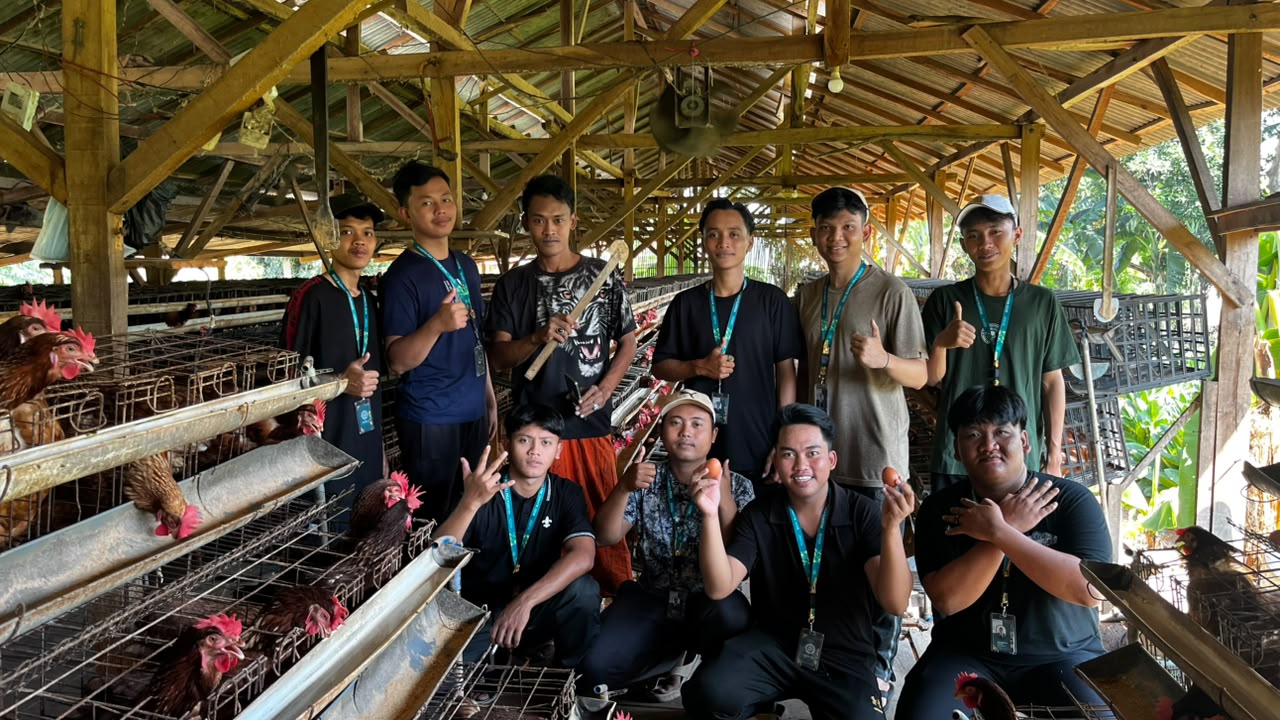 Kunjungan Edukatif ke Peternakan Istana Telur