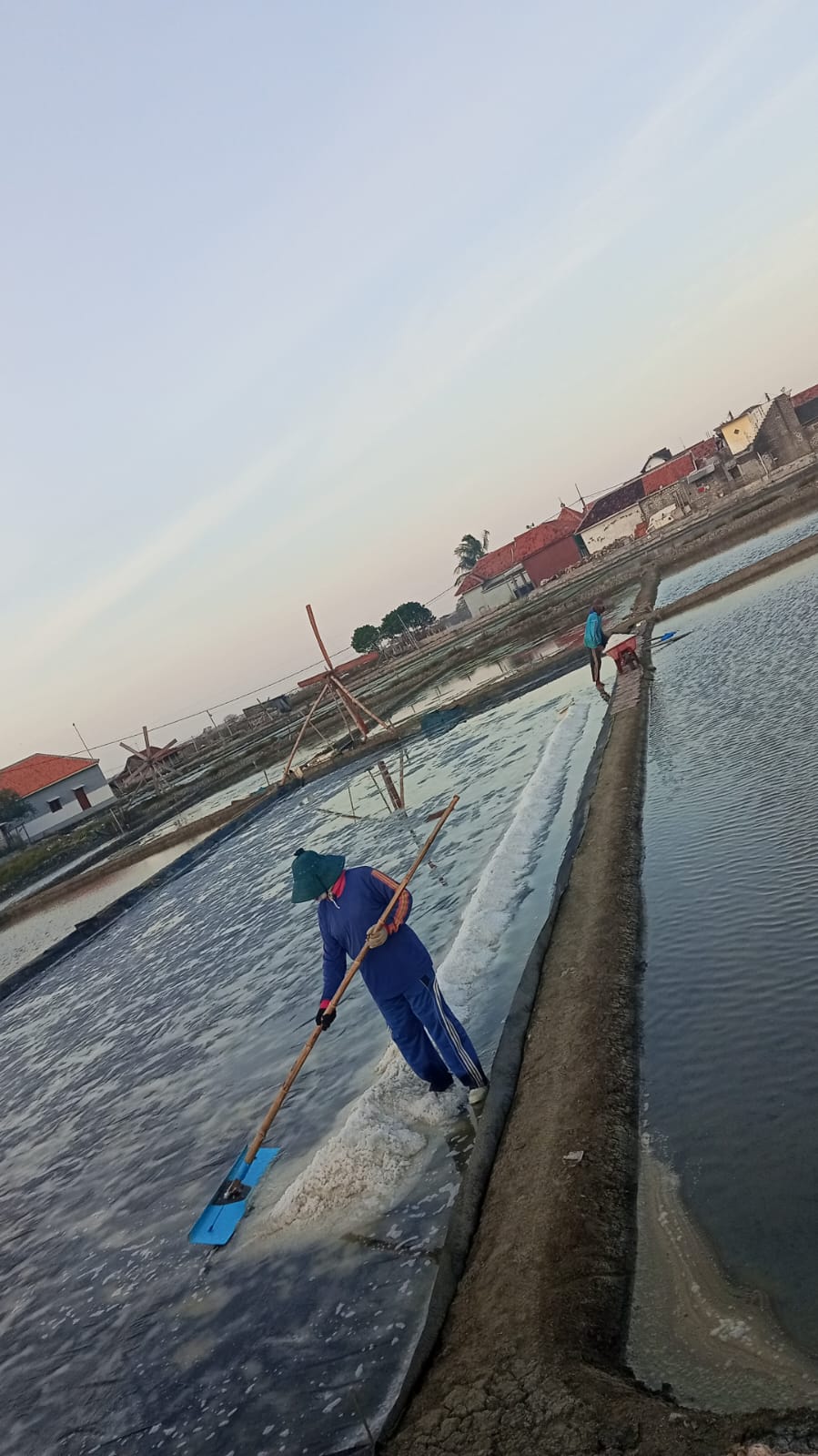 Observasi pembuatan garam