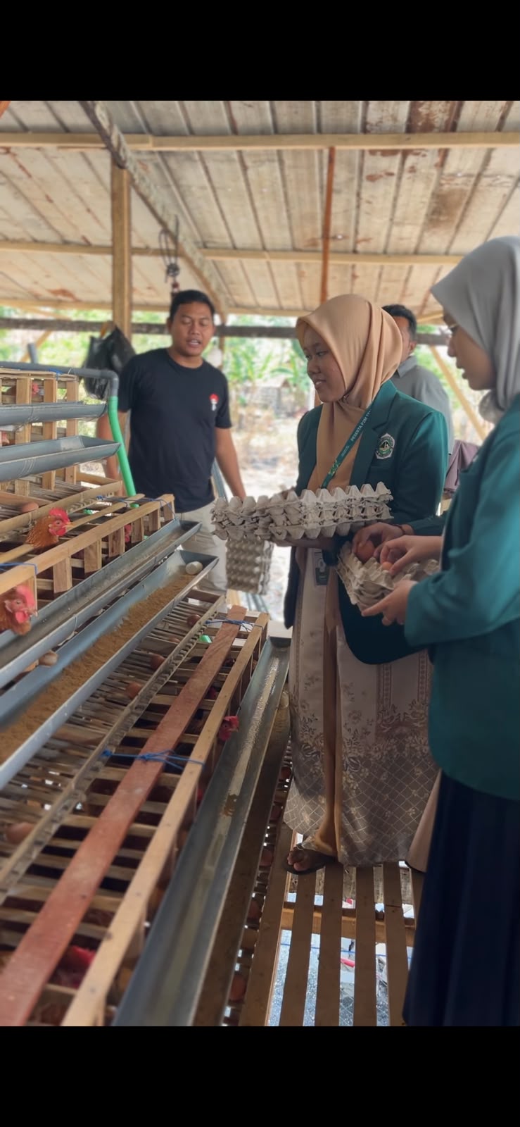 Mengenal Proses di Balik Sebutir Telur, Mahasiswi P2M UNIA Observasi Peternakan di Kaduara Barat