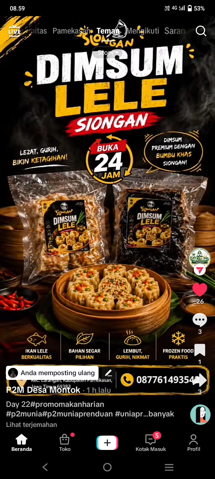Budidaya lele yang dijadikan dimsum lele